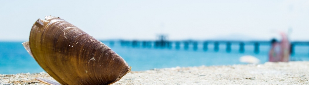 How to choose a hotel in Golden sands?